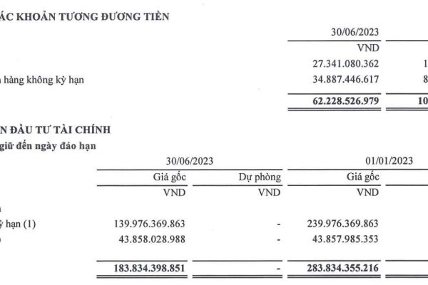 Chi phí lãi vay giảm mạnh không “cứu” nổi lợi nhuận Cenland giảm sâu