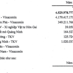 Nợ thuế, nợ nhà nước phình to tại Công ty Than Hà Tu