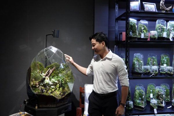 Từ thú chơi bể Terrarium đến sở hữu chuỗi cửa hàng lớn bậc nhất Cần Thơ