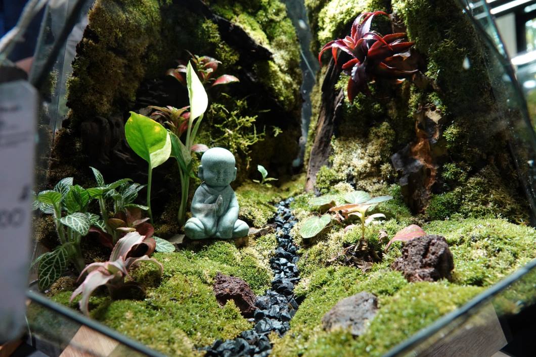 Những mẫu Terrarium được trang trí bắt mắt. Ảnh: Tuệ An