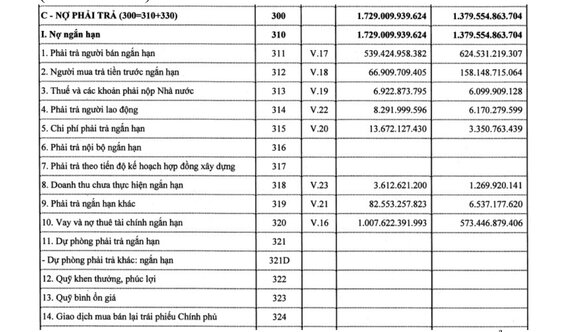 Trúng loạt gói thầu ngành điện, Alphanam E&C tăng vay nợ