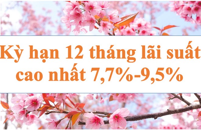 Lãi suất ngân hàng hôm nay 23.6: Kỳ hạn 12 tháng lãi suất cao nhất 7,7-9,5%