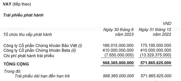 Kiểm toán độc lập nghi ngờ khả năng hoạt động liên tục của DRH Holdings