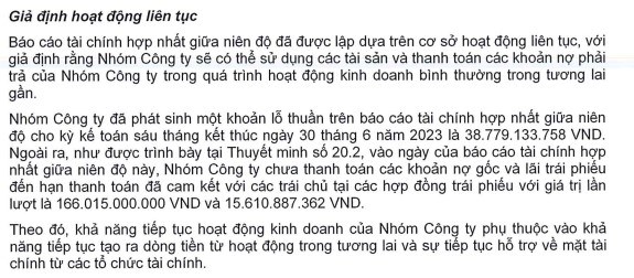 Kiểm toán độc lập nghi ngờ khả năng hoạt động liên tục của DRH Holdings