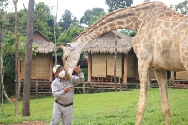 Khám phá cuộc sống hoang dã “thời giãn cách” trong công viên bảo tồn lớn bậc nhất châu Á