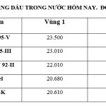 Giá xăng dầu hôm nay 30.6: Dự báo giá xăng dầu đồng loạt tăng vào tuần tới