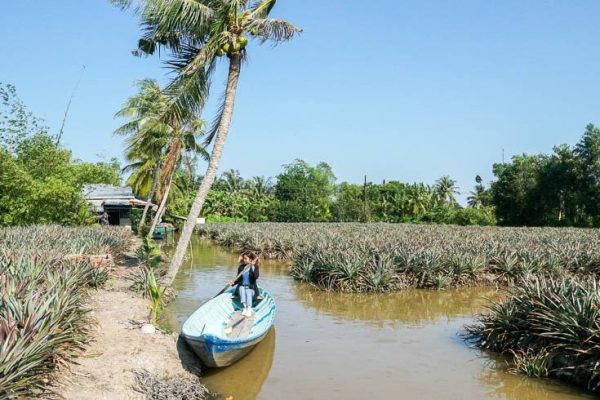 Làm du lịch trên ruộng khóm, nông dân vùng phèn mặn Hậu Giang thu lợi nhuận kép