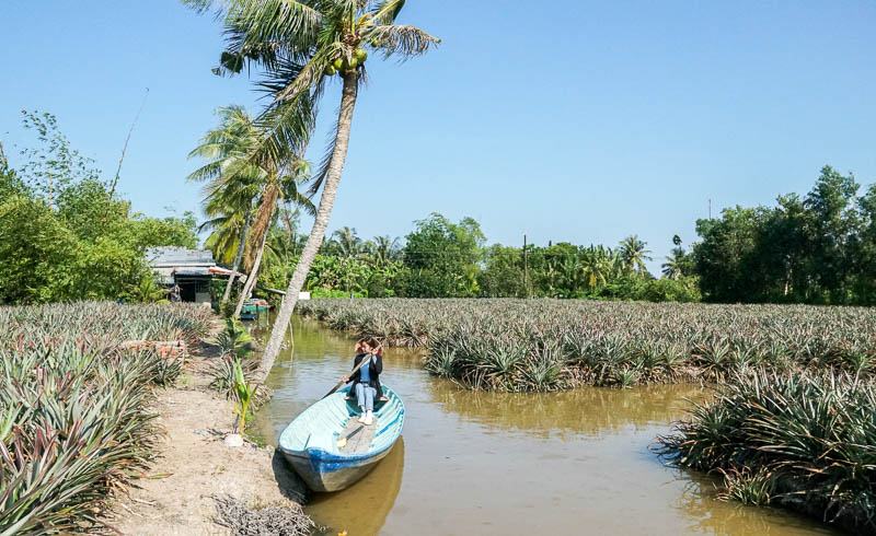 Làm du lịch trên ruộng khóm, nông dân vùng phèn mặn Hậu Giang thu lợi nhuận kép