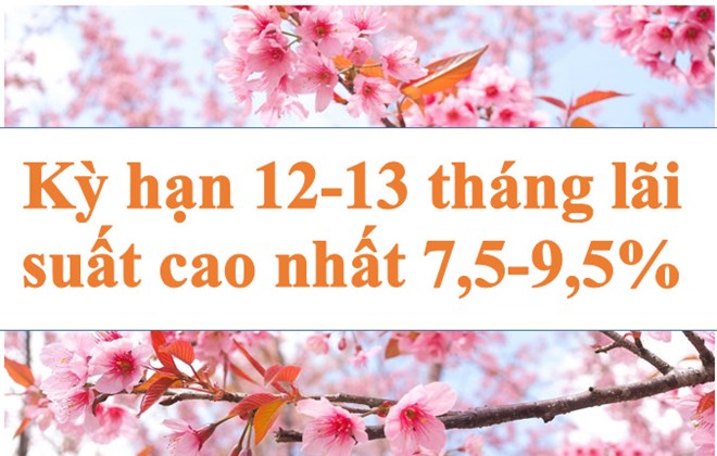 Lãi suất ngân hàng hôm nay 10.7: Kỳ hạn 12-13 tháng cao nhất 7,5-9,5%