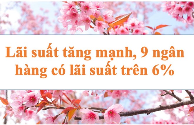 Lãi suất ngân hàng hôm nay 11.6: Tăng mạnh, 9 ngân hàng có lãi suất trên 6%