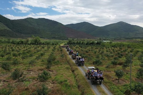 Thanh niên Đắk Lắk bỏ phố về quê làm nông nghiệp theo mô hình Israel