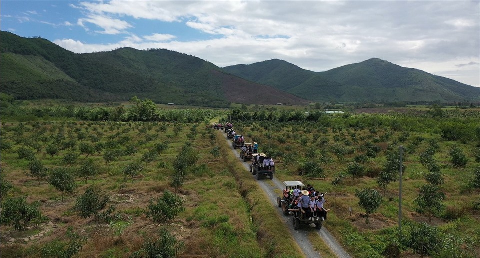 Thanh niên Đắk Lắk bỏ phố về quê làm nông nghiệp theo mô hình Israel