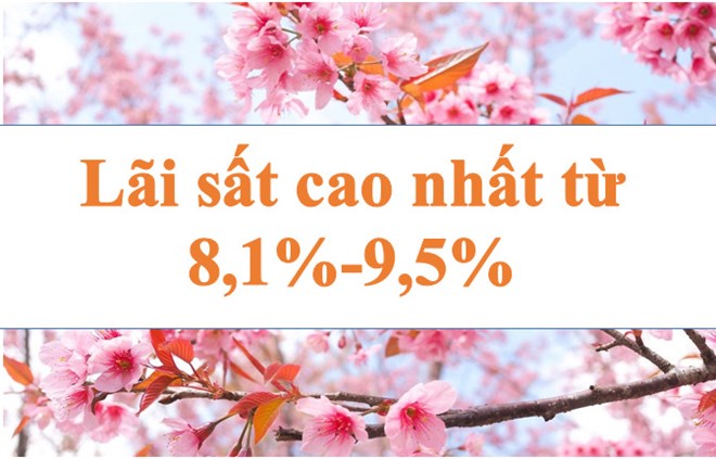 Lãi suất ngân hàng hôm nay 31.5: Cao nhất 8,1-9,5%