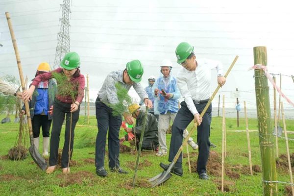 Trồng cây xanh là giải pháp quan trọng trong chuyển dịch năng lượng