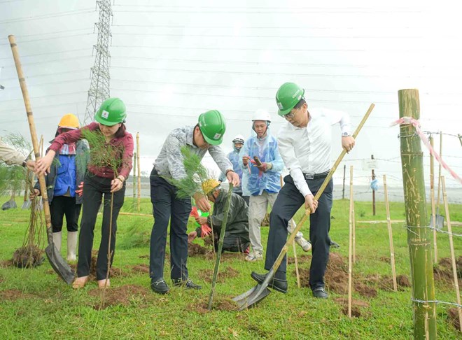 Trồng cây xanh là giải pháp quan trọng trong chuyển dịch năng lượng